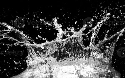 ✨ 2025… voilà, je l’ai fait !